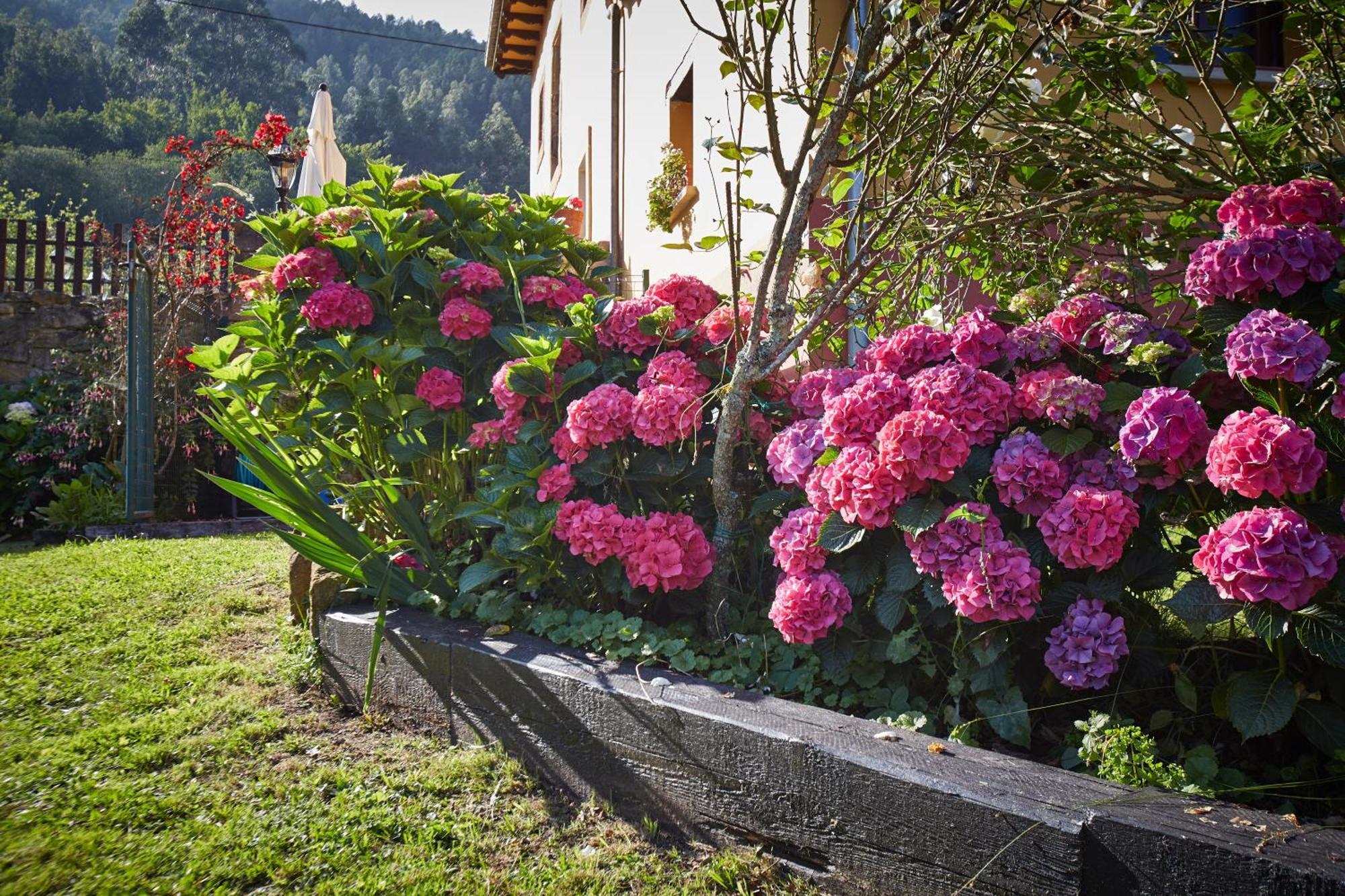 Casa Capion Villaviciosa (Asturias)